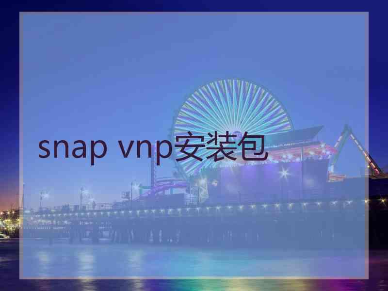 snap vnp安装包