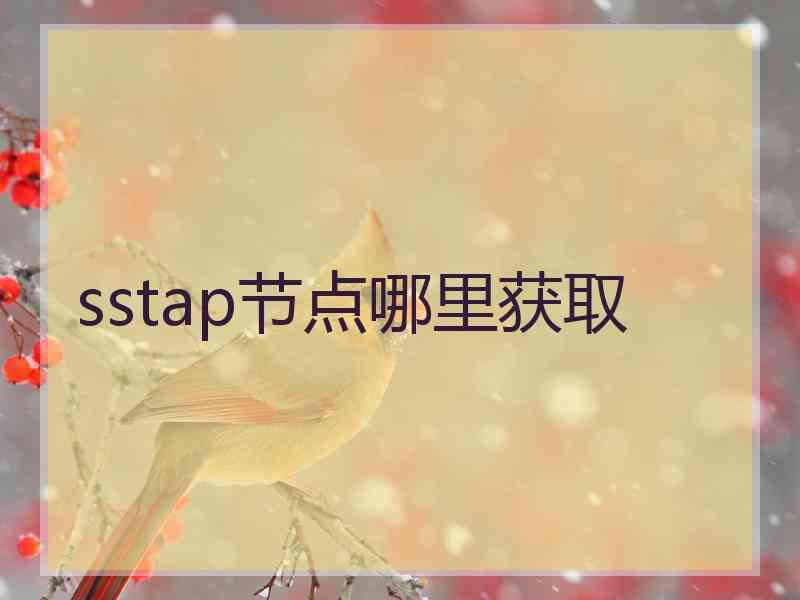 sstap节点哪里获取