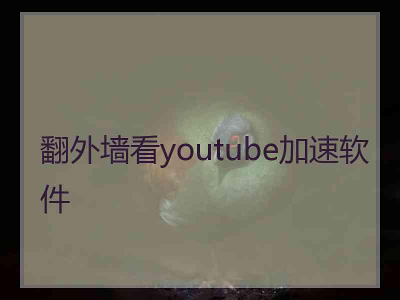 翻外墙看youtube加速软件