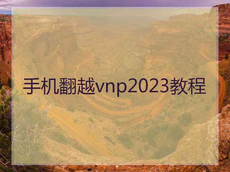 手机翻越vnp2023教程