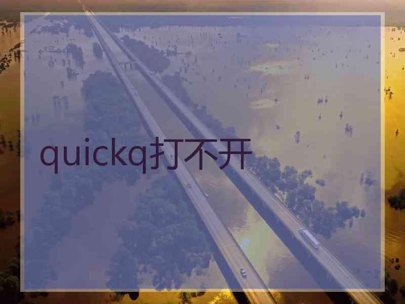 quickq打不开