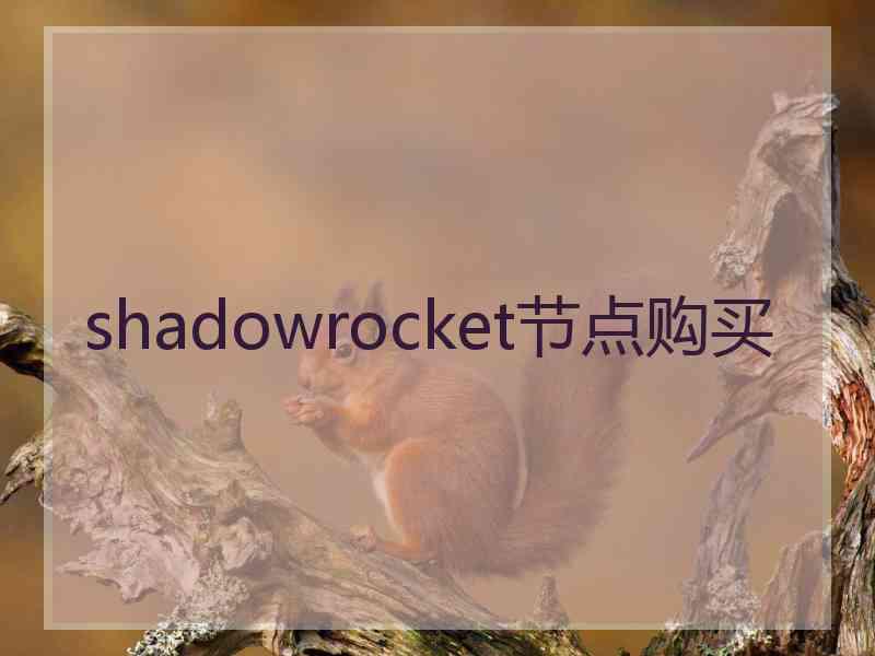 shadowrocket节点购买