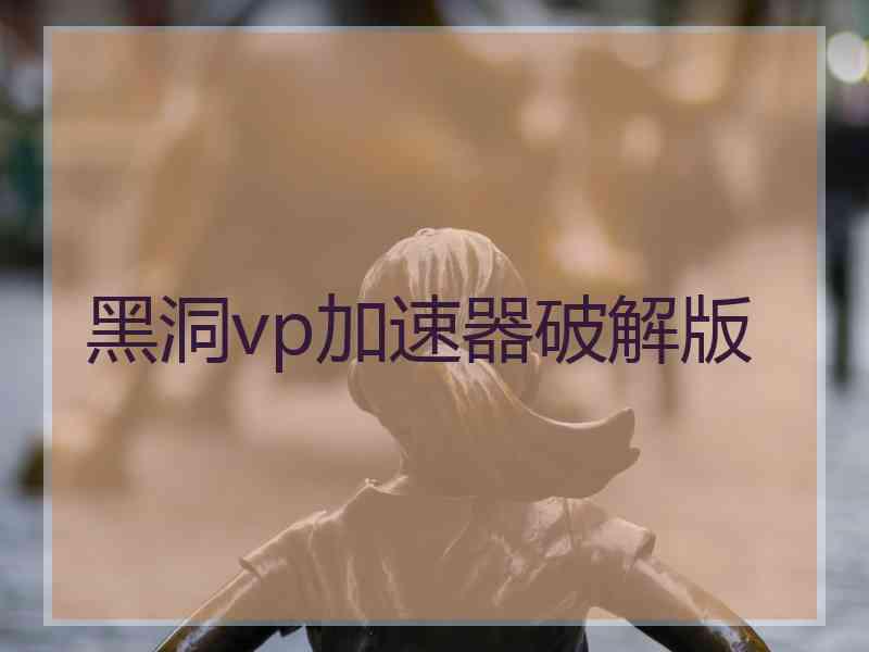 黑洞vp加速器破解版