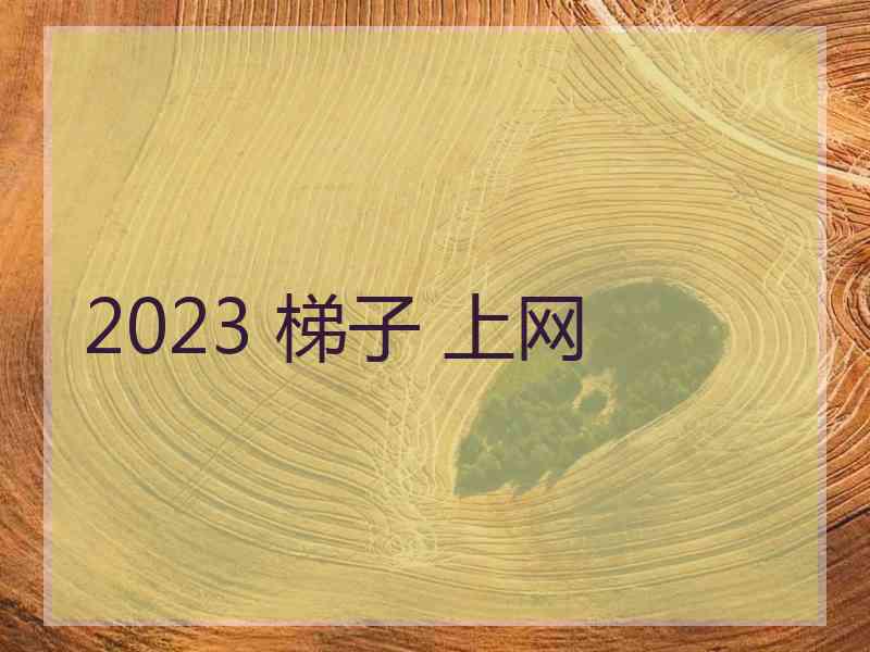 2023 梯子 上网