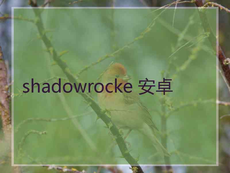 shadowrocke 安卓