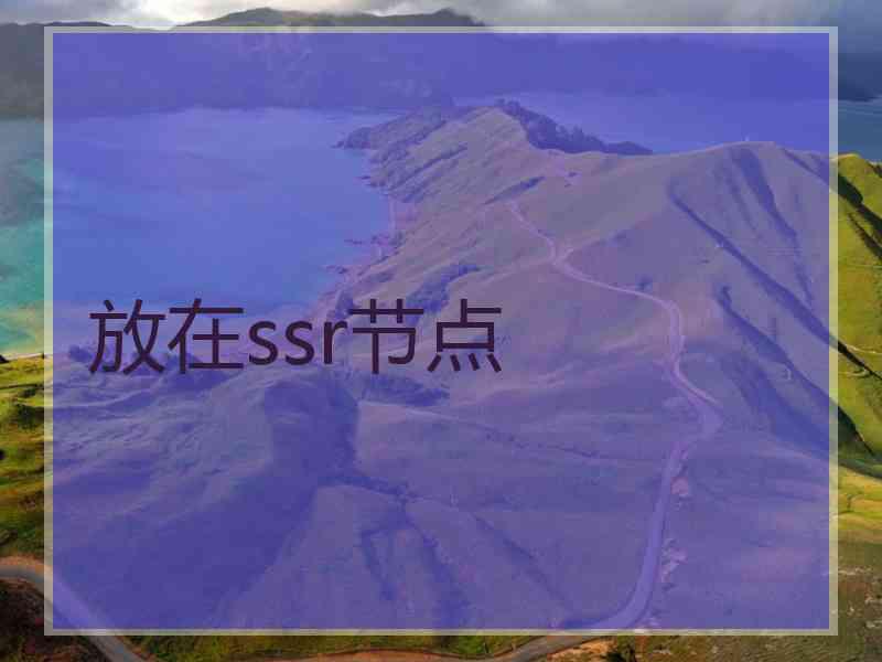 放在ssr节点