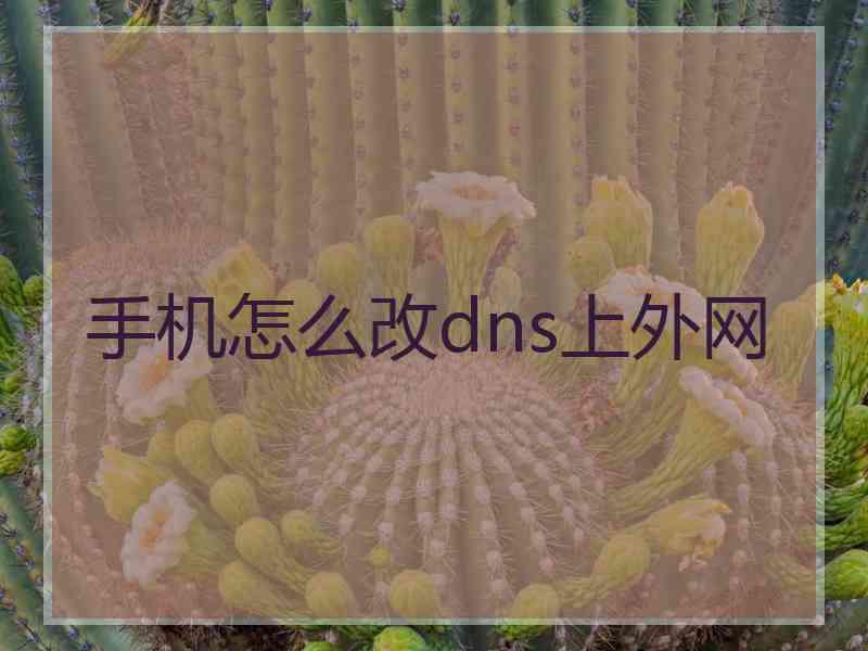 手机怎么改dns上外网