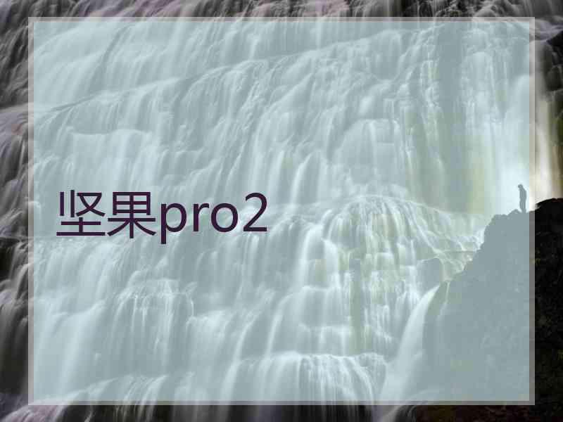 坚果pro2