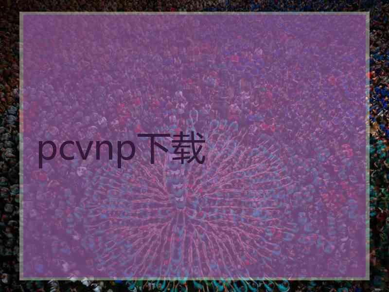 pcvnp下载