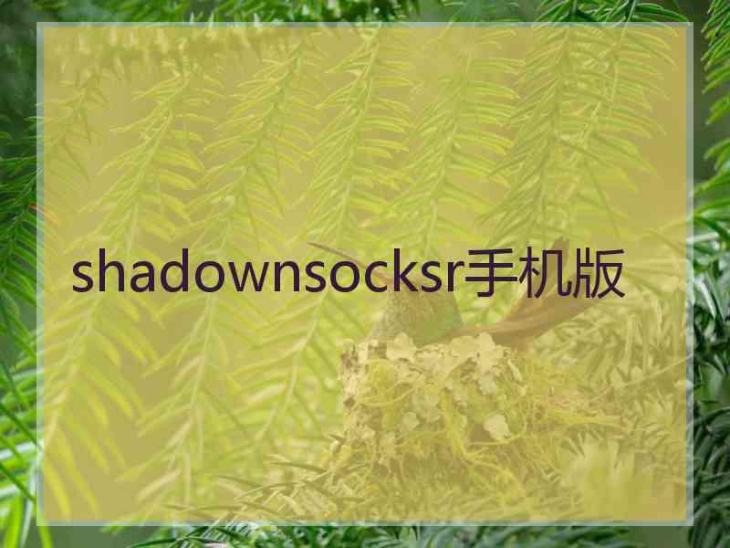 shadownsocksr手机版