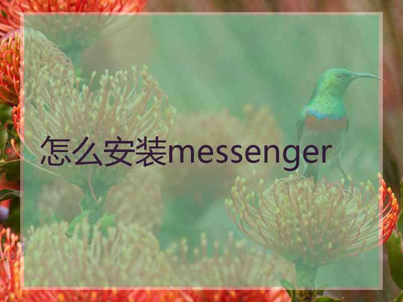 怎么安装messenger