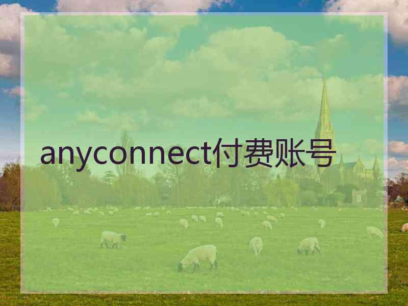 anyconnect付费账号