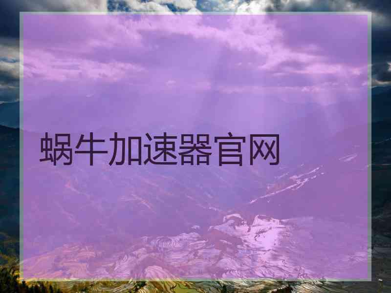 蜗牛加速器官网