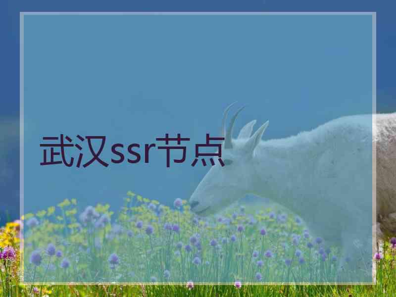 武汉ssr节点