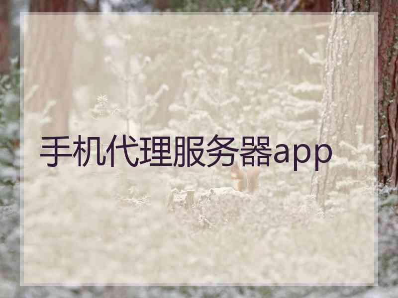 手机代理服务器app