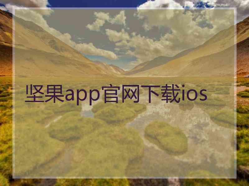 坚果app官网下载ios