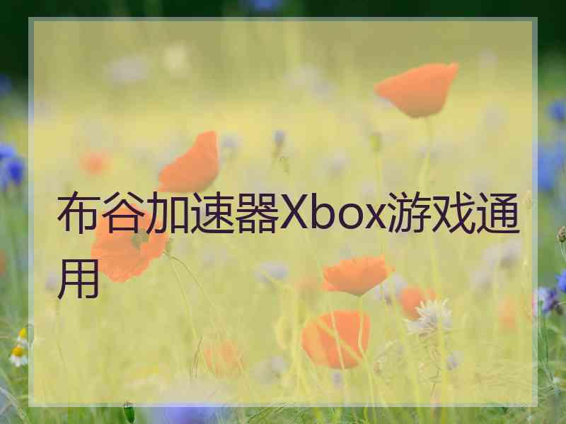 布谷加速器Xbox游戏通用