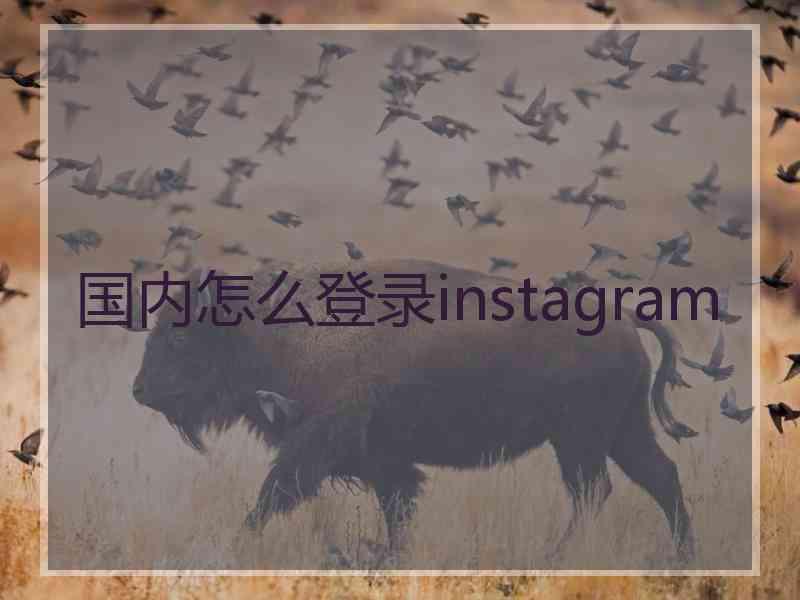 国内怎么登录instagram