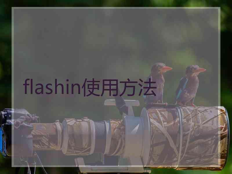 flashin使用方法