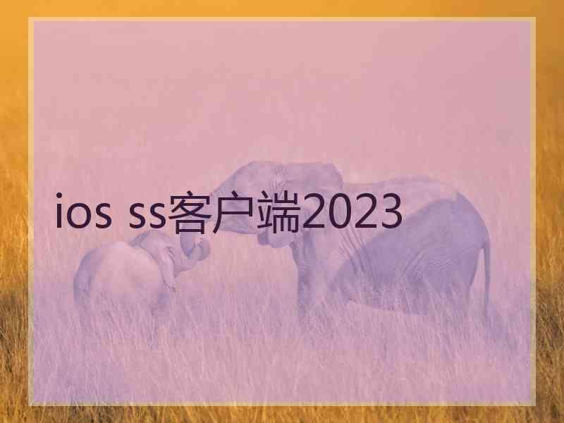 ios ss客户端2023