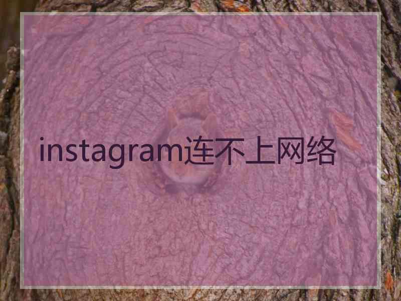 instagram连不上网络