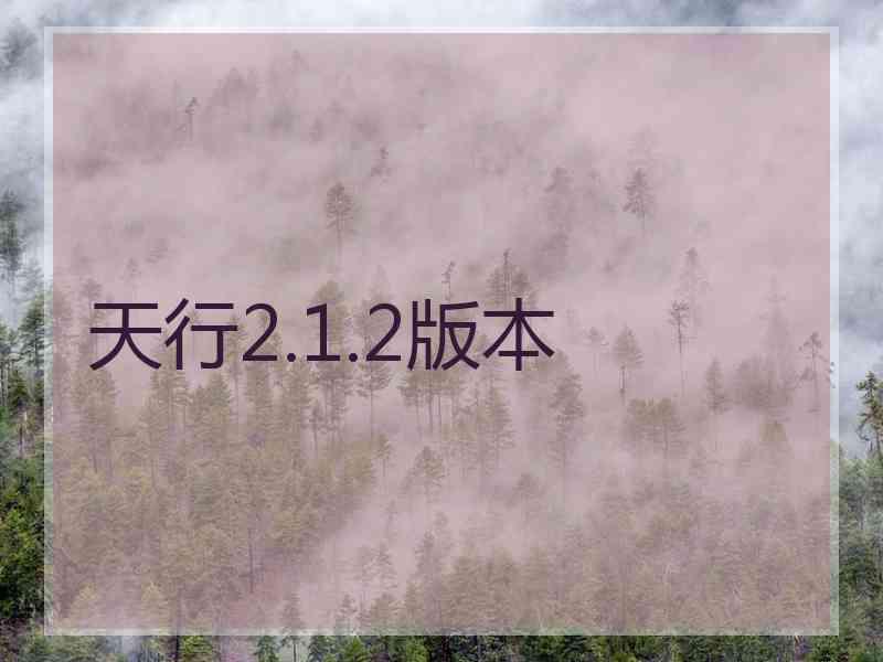 天行2.1.2版本