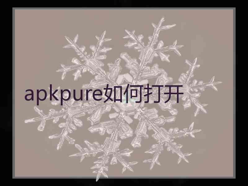 apkpure如何打开