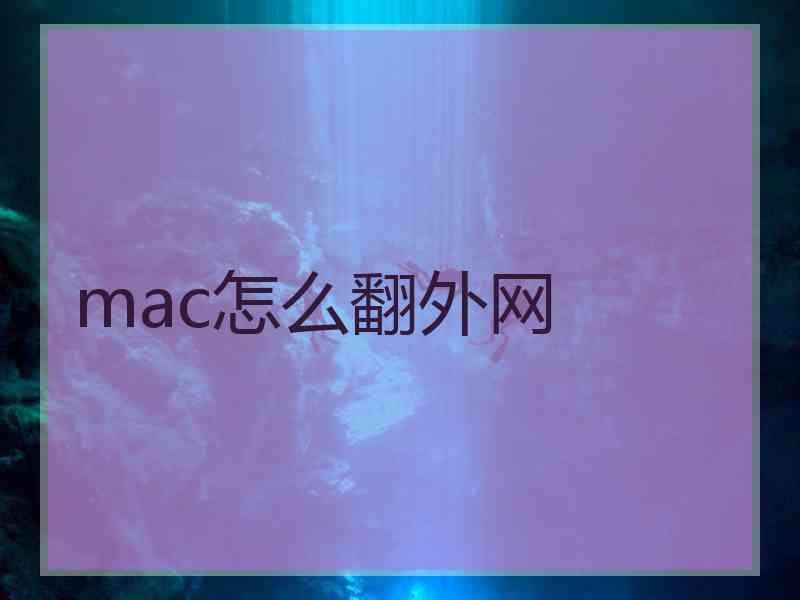 mac怎么翻外网