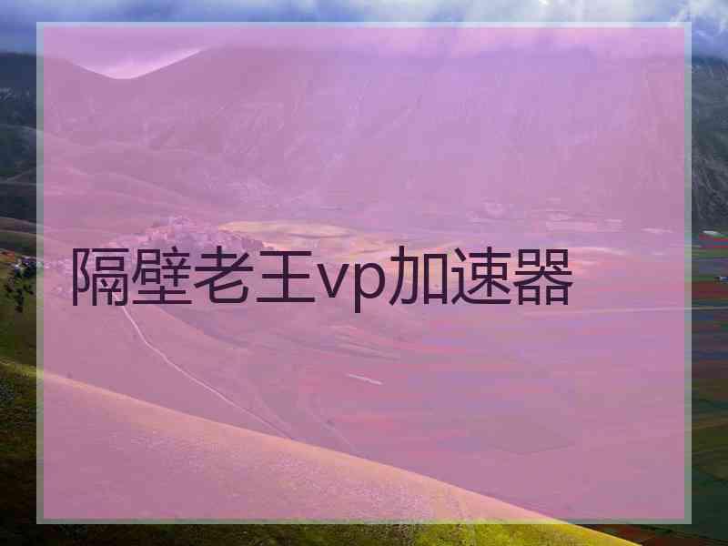 隔壁老王vp加速器