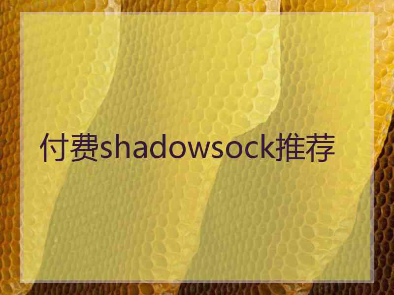 付费shadowsock推荐