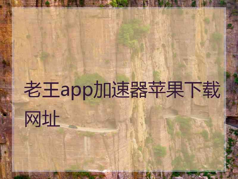 老王app加速器苹果下载网址