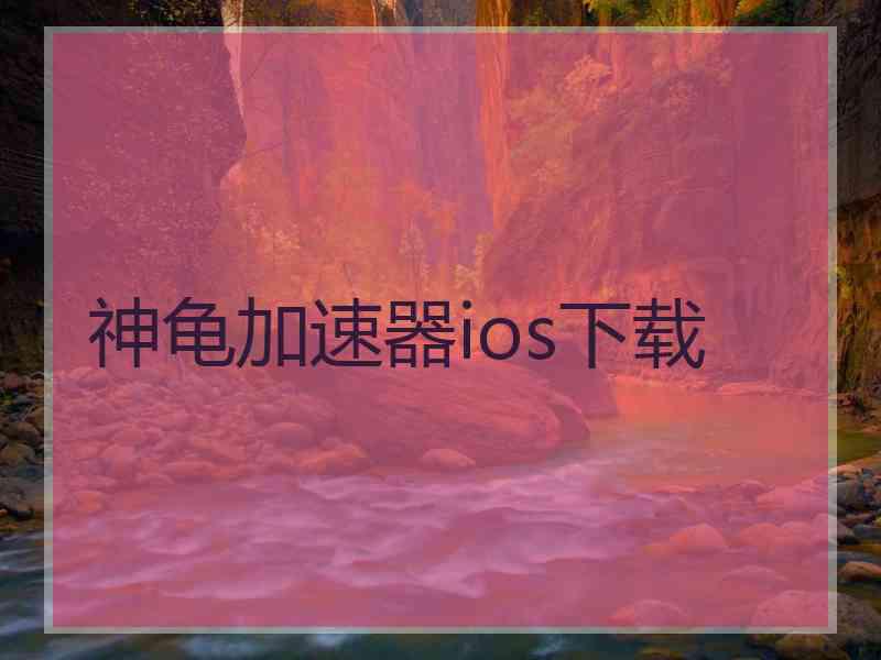 神龟加速器ios下载