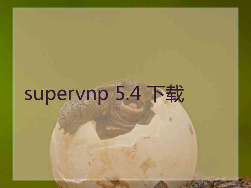 supervnp 5.4 下载