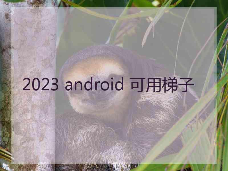 2023 android 可用梯子