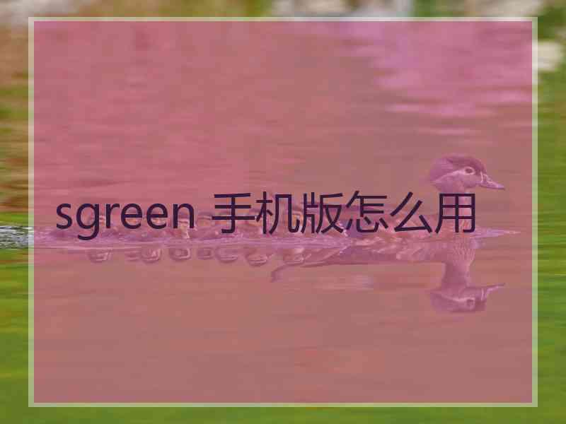 sgreen 手机版怎么用