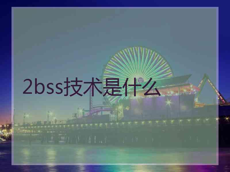 2bss技术是什么