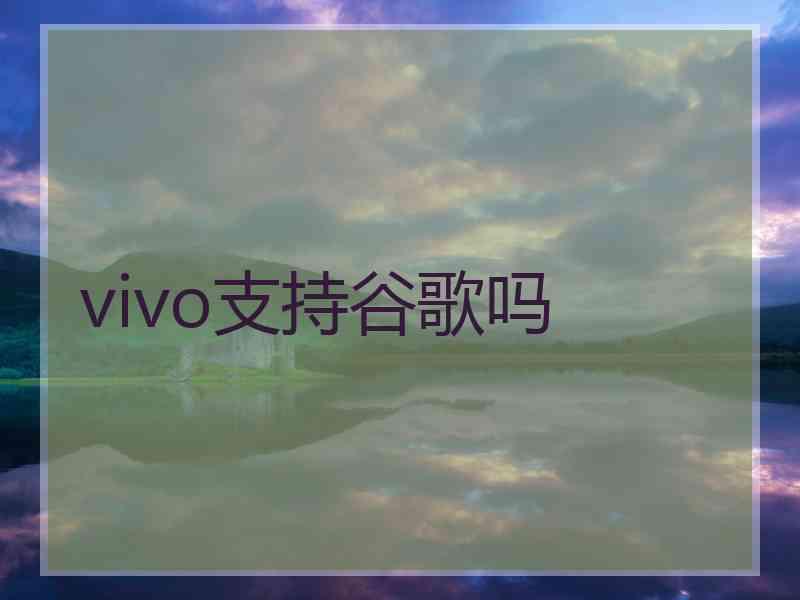 vivo支持谷歌吗