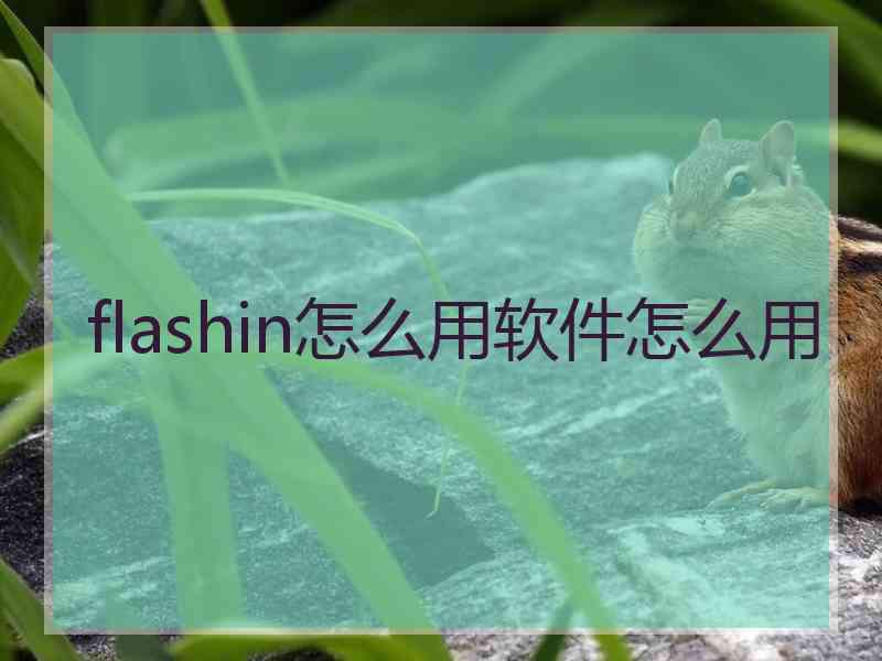 flashin怎么用软件怎么用