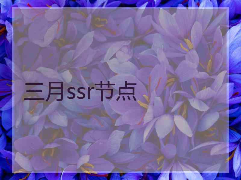 三月ssr节点