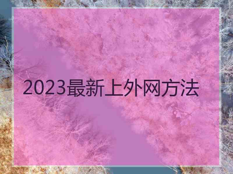 2023最新上外网方法