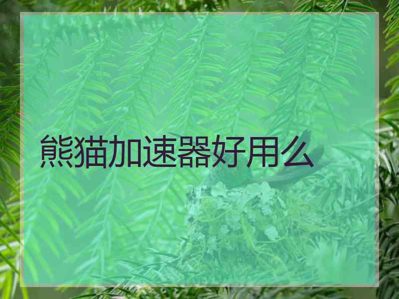 熊猫加速器好用么