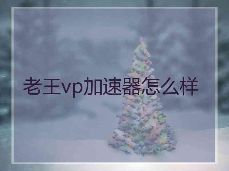 老王vp加速器怎么样