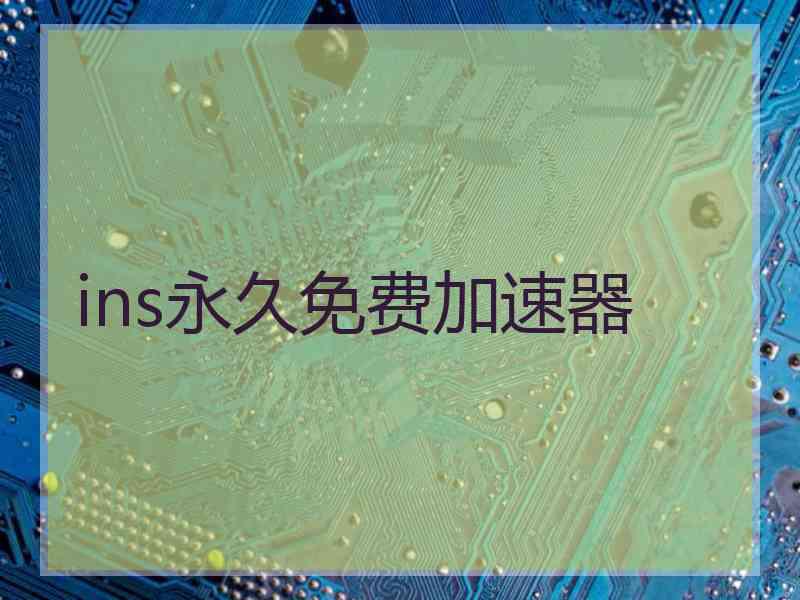 ins永久免费加速器