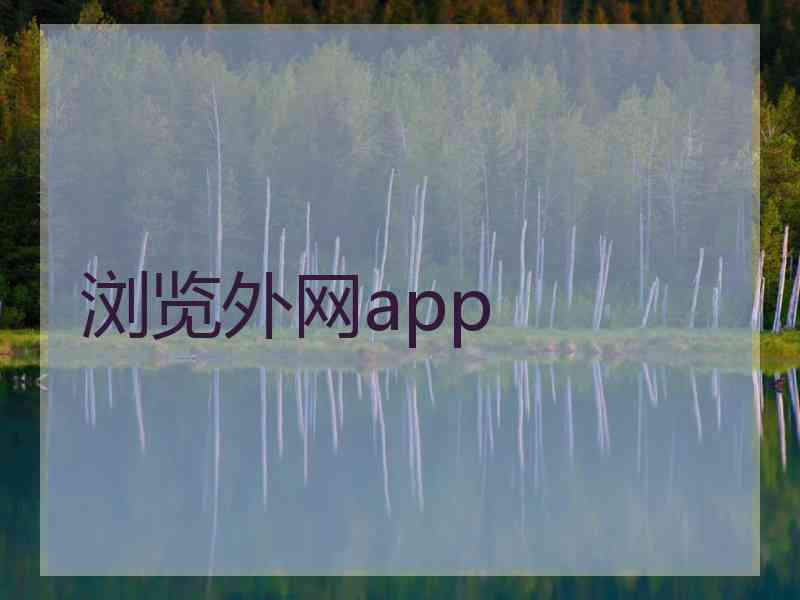 浏览外网app