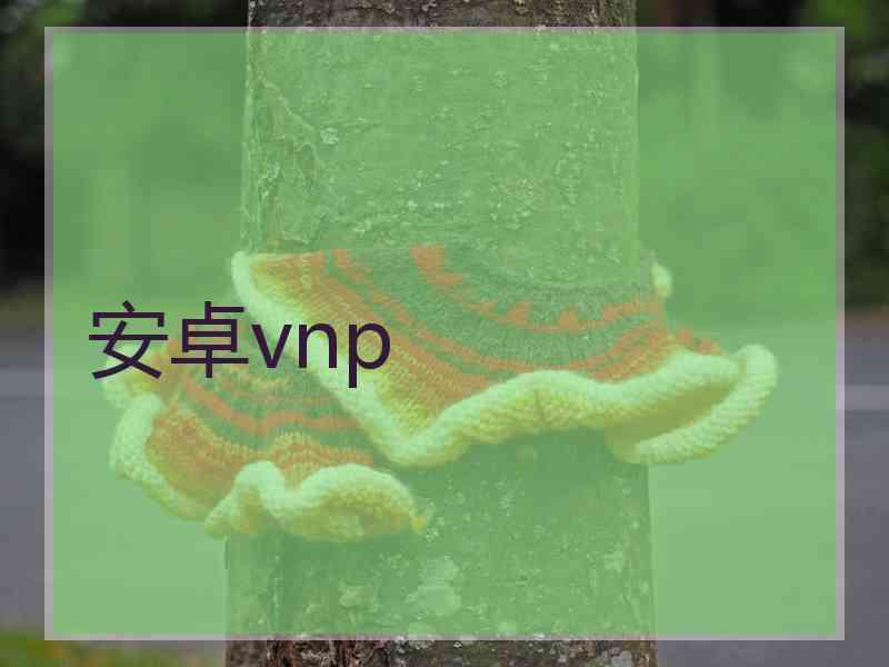 安卓vnp