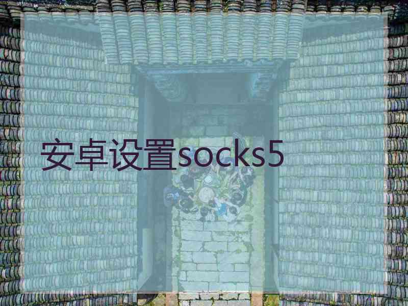 安卓设置socks5