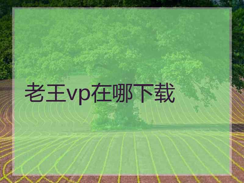 老王vp在哪下载