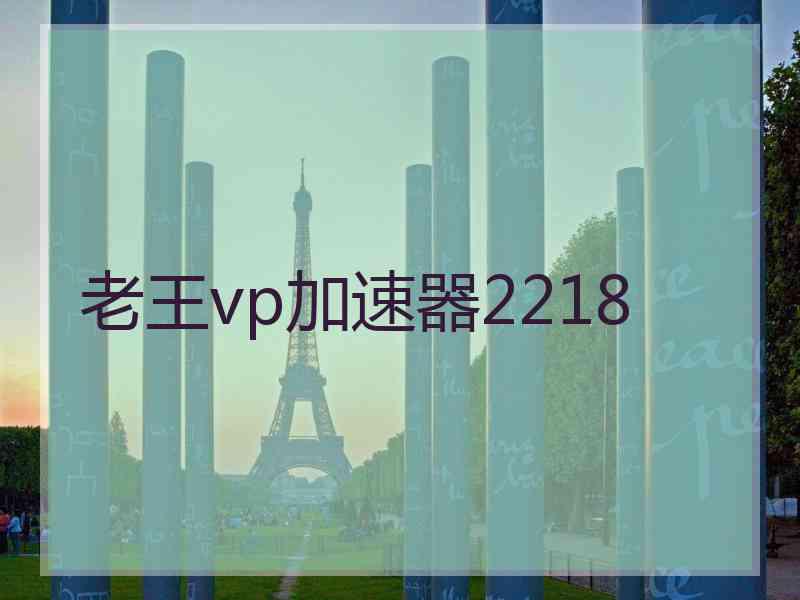 老王vp加速器2218