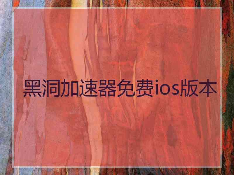 黑洞加速器免费ios版本