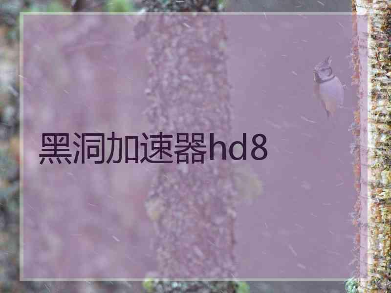 黑洞加速器hd8